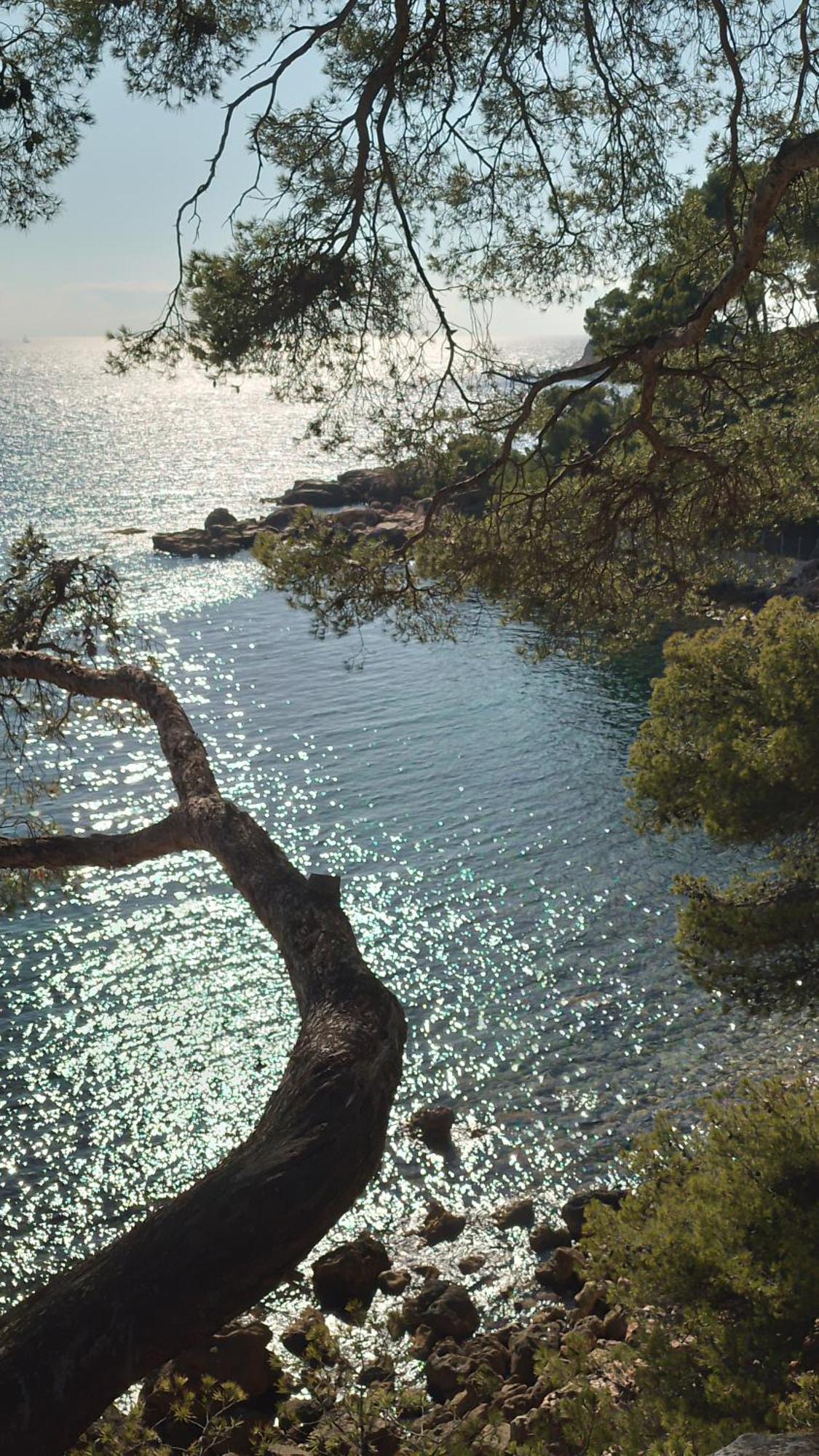 Les Pieds Tanques - Chambres D'Hotes - Calanque A Pieds Saint-Cyr-sur-Mer Exterior foto
